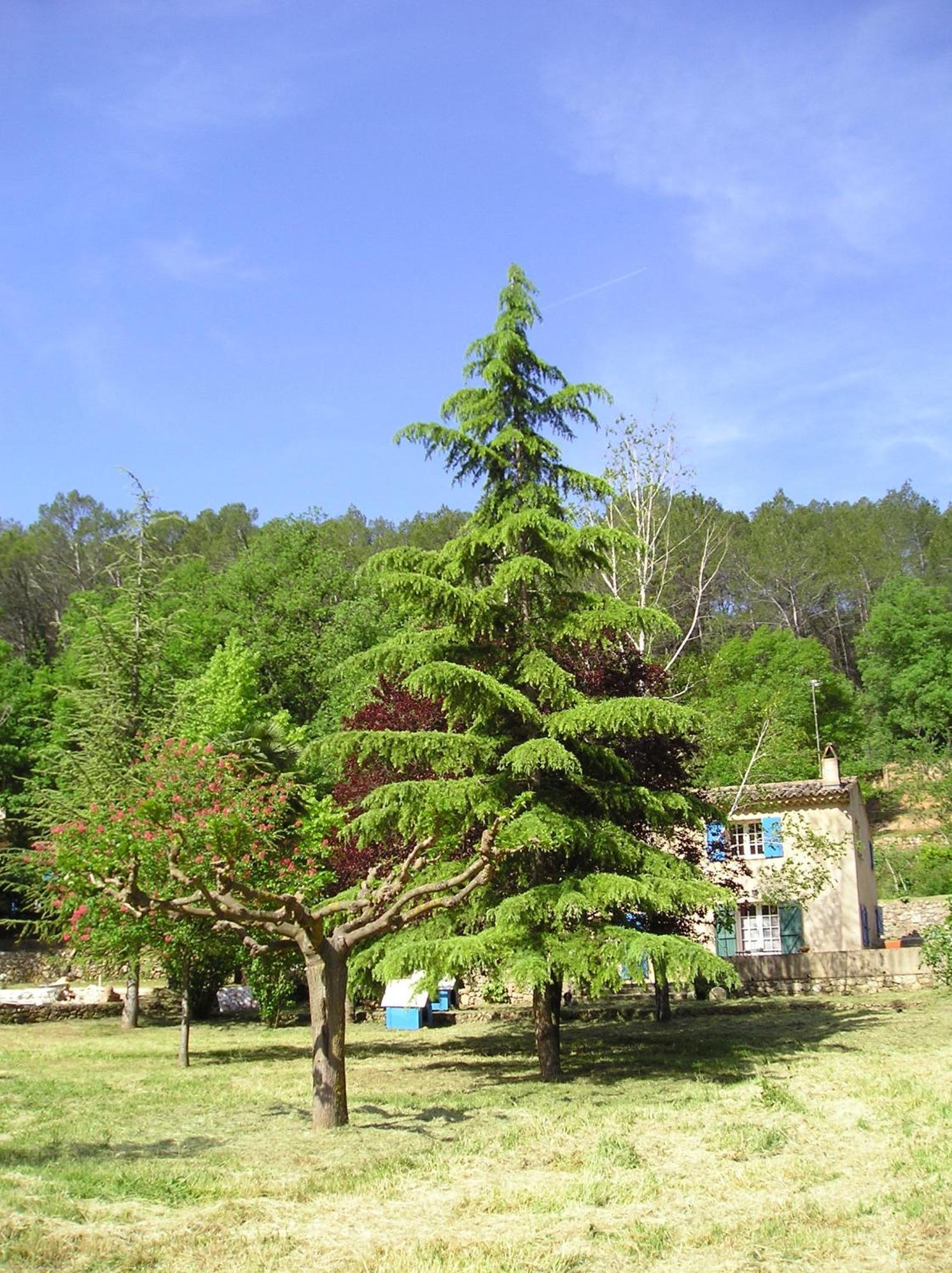Вилла Domaine De La Provenc'Ane Салерн Номер фото